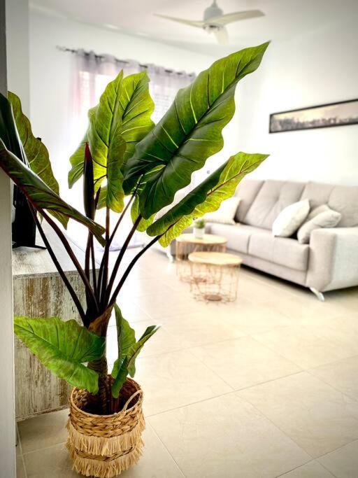Mychoice Toreros Rota Exterior foto